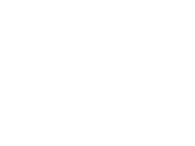 Roche 800x600 sw